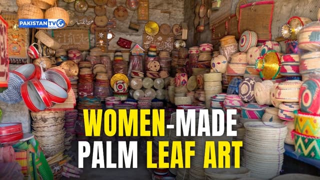 ▶In Pakistan, women weave a cultural legacy from wild palm leaves
