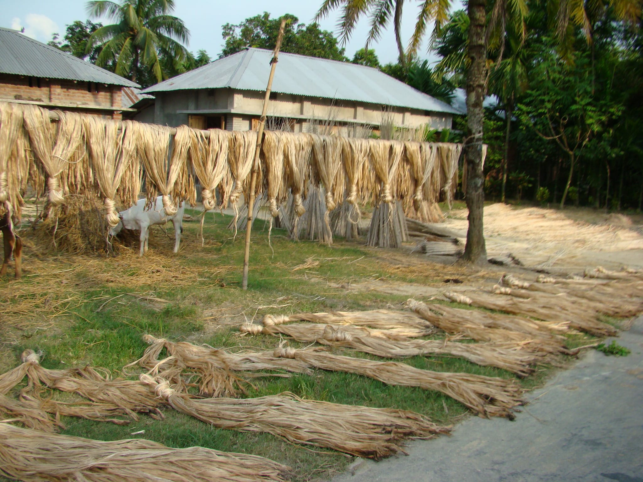 Bangladesh plans to attract foreign investment in jute sector