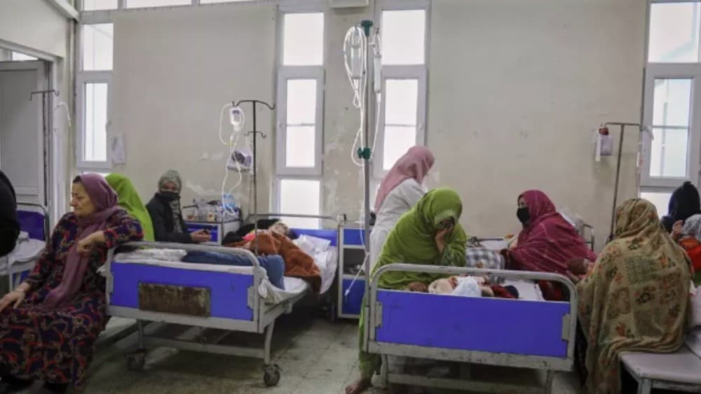One million Afghan children suffering 'life-threatening' malnutrition: UN