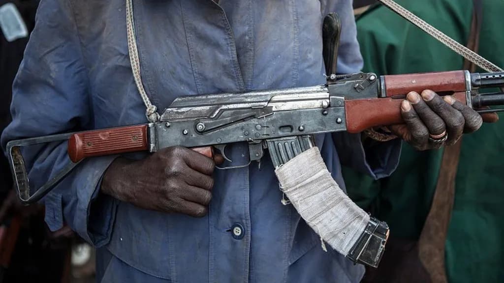 There have been waves of armed abductions in north and central Nigeria in recent years, carried out by criminal gangs and Islamist