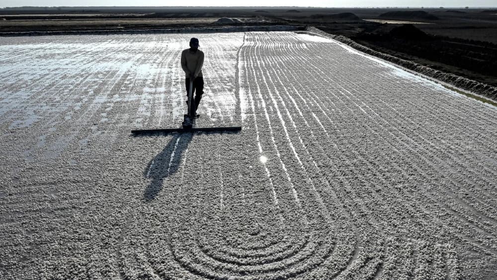 A worker harvests salt at the Little Rann of Kutch (LRK) region of Gujarat on April 29, 2026. (Photo: AFP)