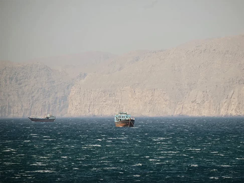 Iran let Turkish-owned ship cross Hormuz strait: Minister