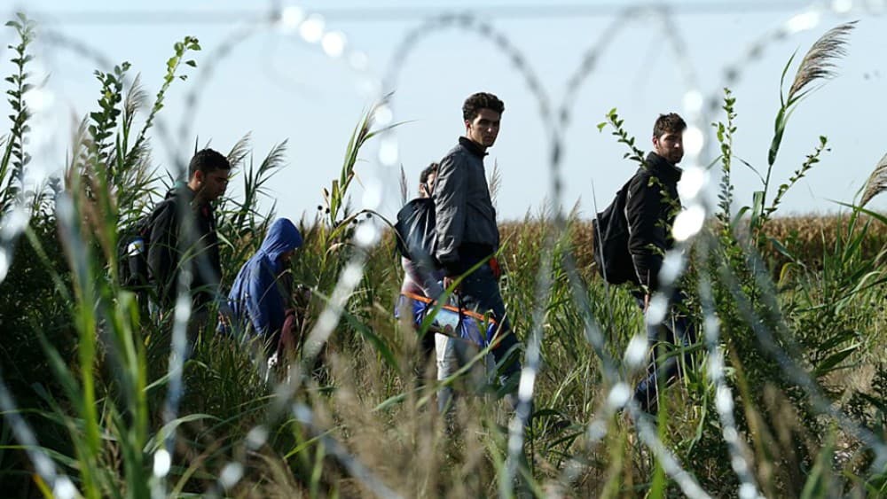Migrants (Photo: Wikimedia Commons)