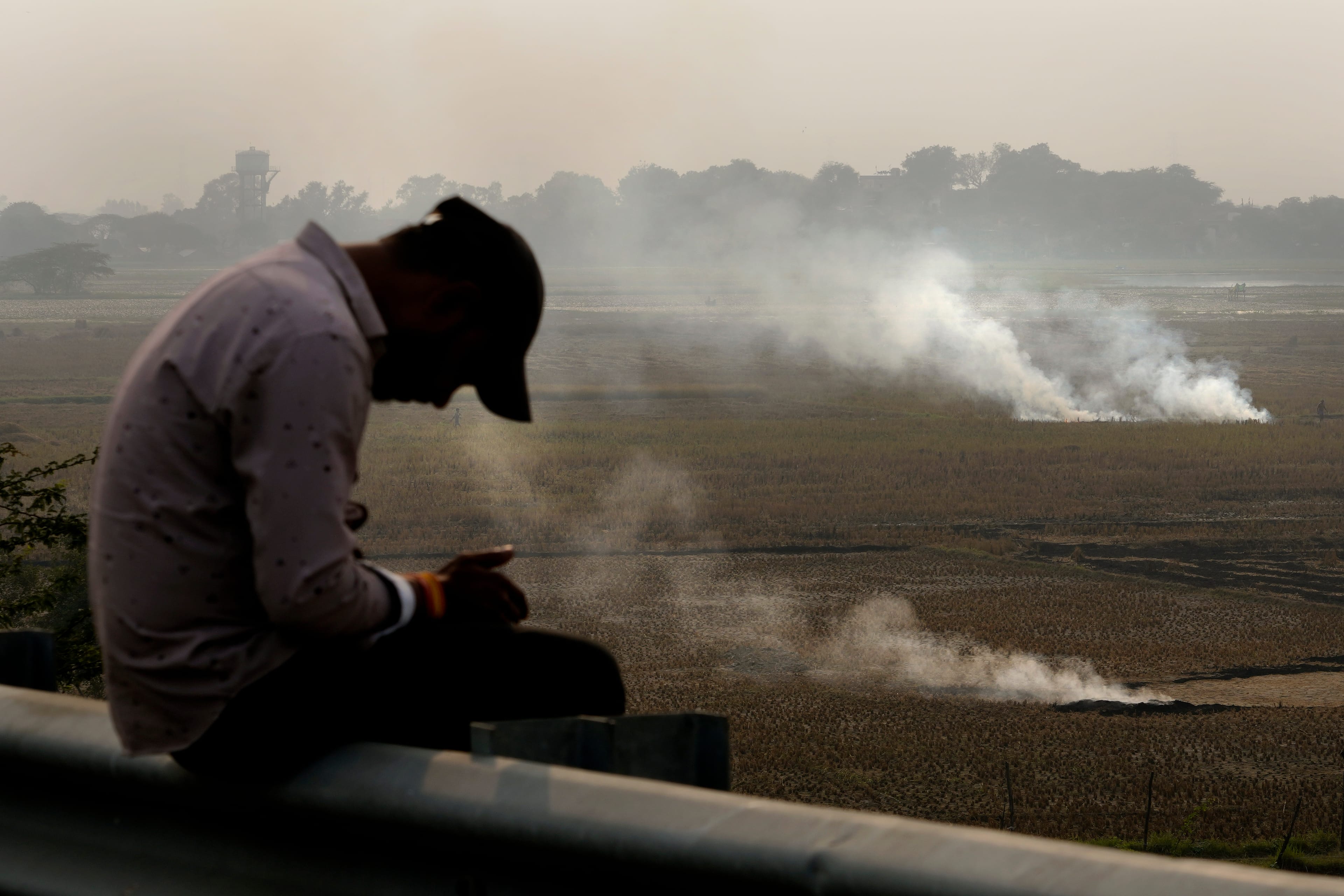 A person checks his mobile phone as farmers burn crop residue after harvest near Bundelkhand expressway in India, on November 17, 2024. (AP)