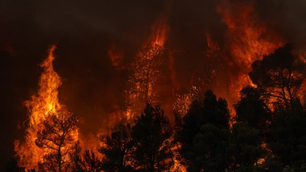 Greece wildfire expert says season 'one of the worst' in a decade