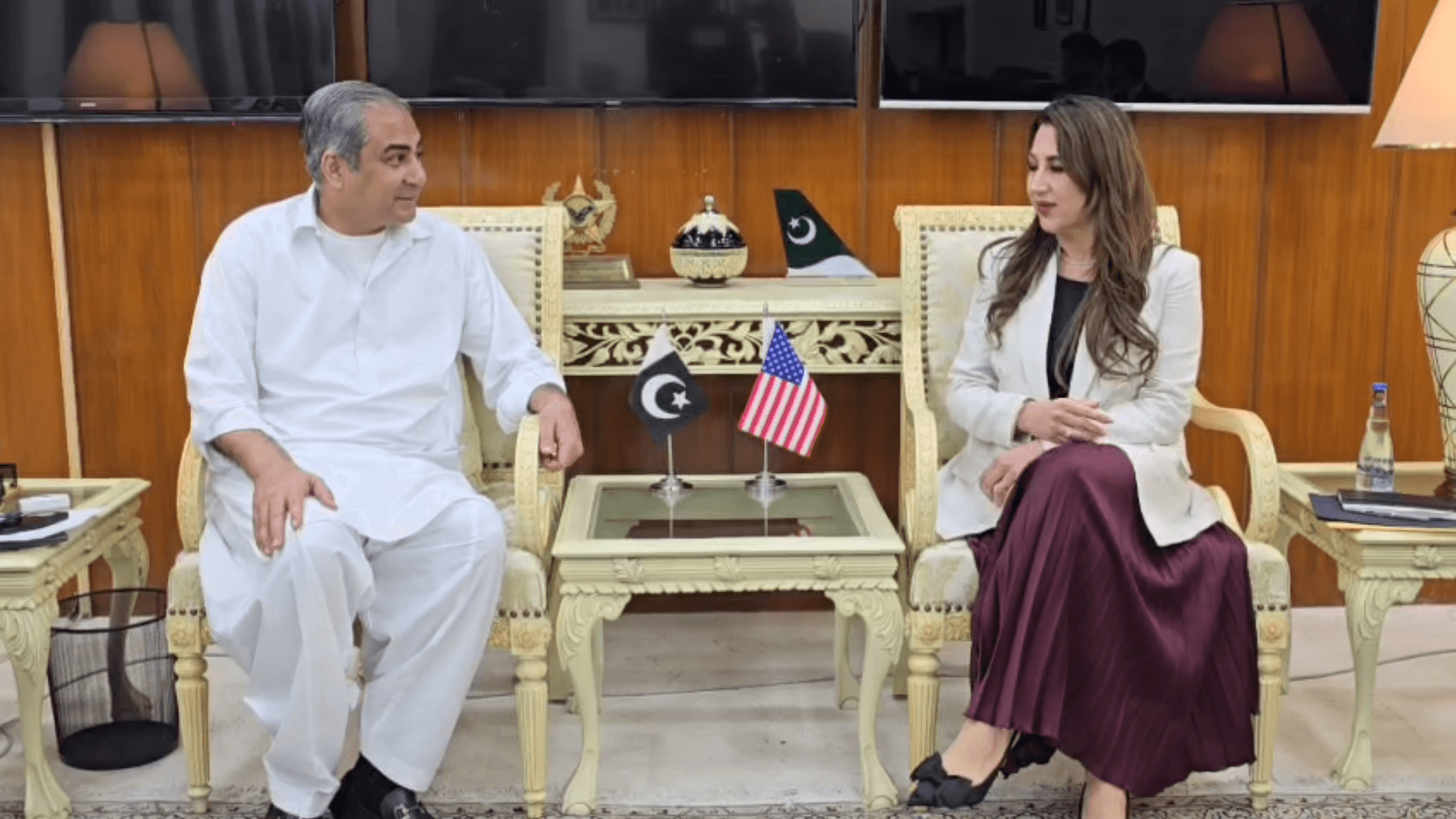 Pakistan's Interior Minister Mohsin Naqvi met with the Acting US Ambassador Natalie Baker in Islamabad.
