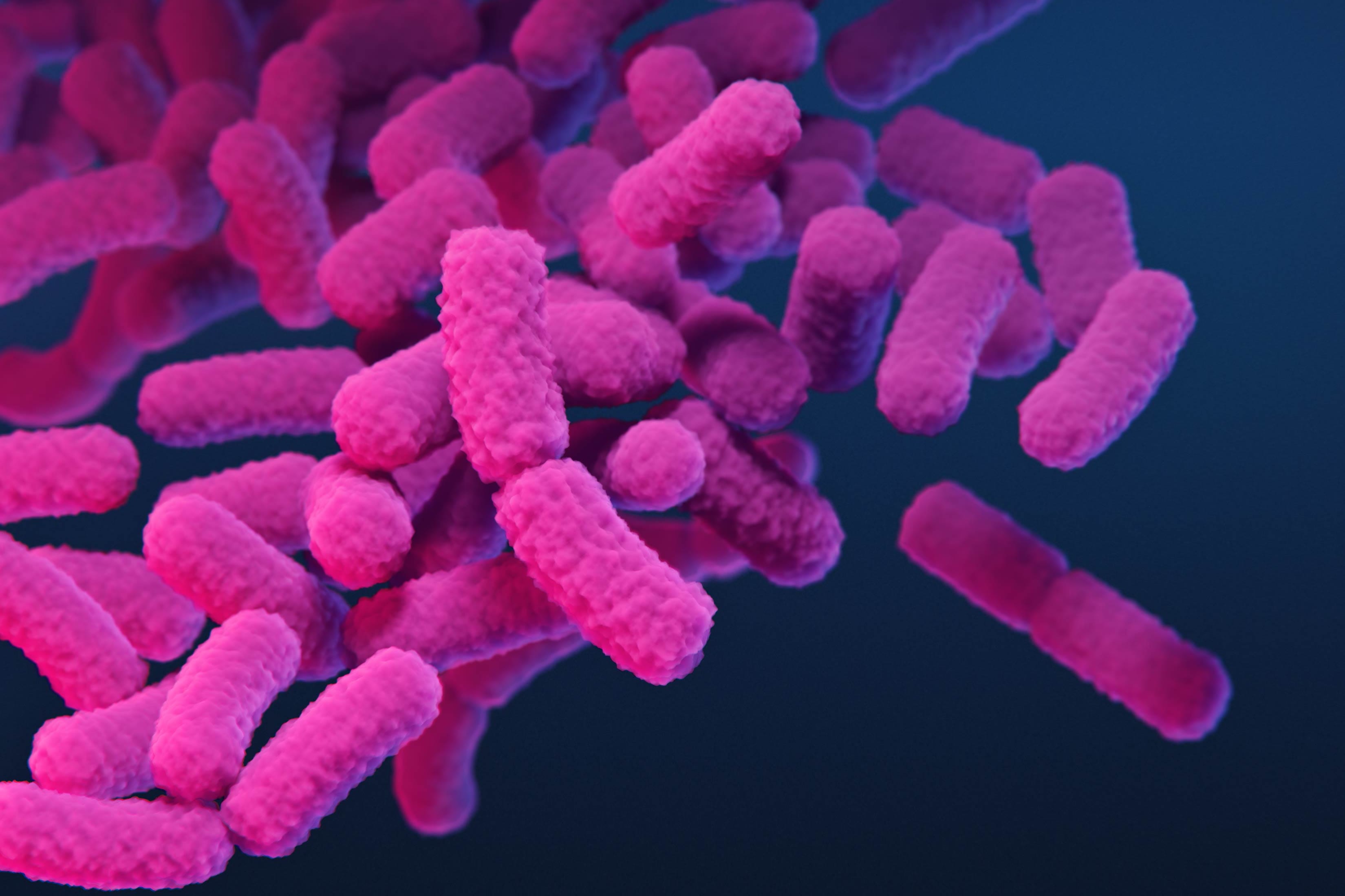 'Nightmare bacteria' cases are increasing in the US