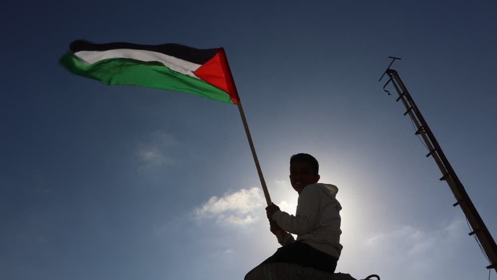 Two Gaza aid flotilla activists brought to Israel for questioning: Foreign ministry