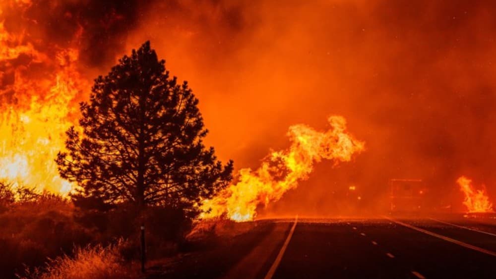 Some 42,000 people have evacuated their homes, and another 45,000 have been told to get ready to leave, as a fast-moving, wind-driven wildfire bore down on the city of Reno. (File photo: AFP)