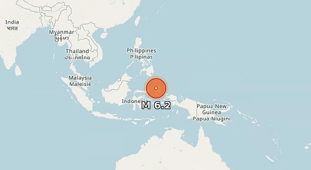Magnitude 6.2 earthquake strikes off eastern Indonesia: USGS
