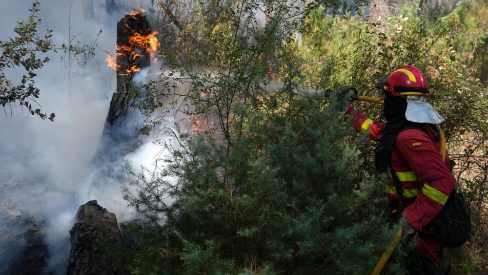 Devastating wildfires send 267,000 fleeing in France and Spain