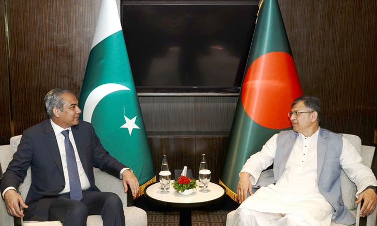 Bangladesh Interior Minister Salahuddin Ahmed and visiting Pakistan Interior Minister Syed Mohsin Raza Naqvi held a meeting at InterContinental Dhaka. (Photo: BSS)