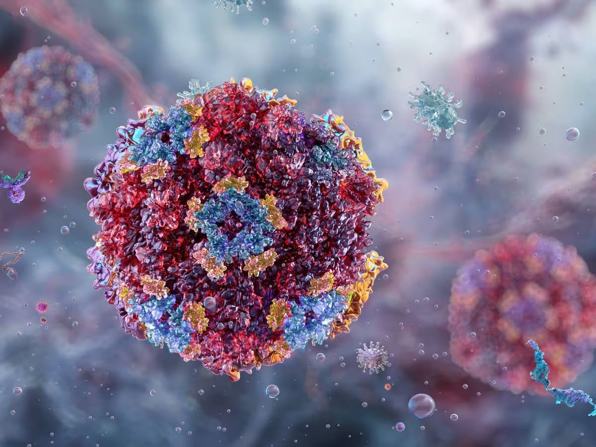 Norovirus particles, illustration. Norovirus is the most common cause of viral gastroenteritis. (AFP)