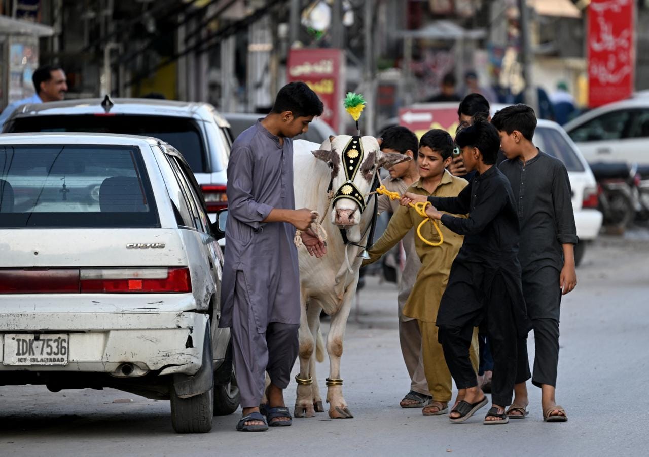 Children play with a bull ahead of the Muslim festival of Eid al-Adha in Rawalpindi on May 23, 2026. (AFP)