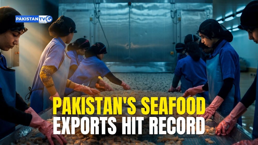 ▶Pakistan seafood exports reach record $568M despite global shipping crisis