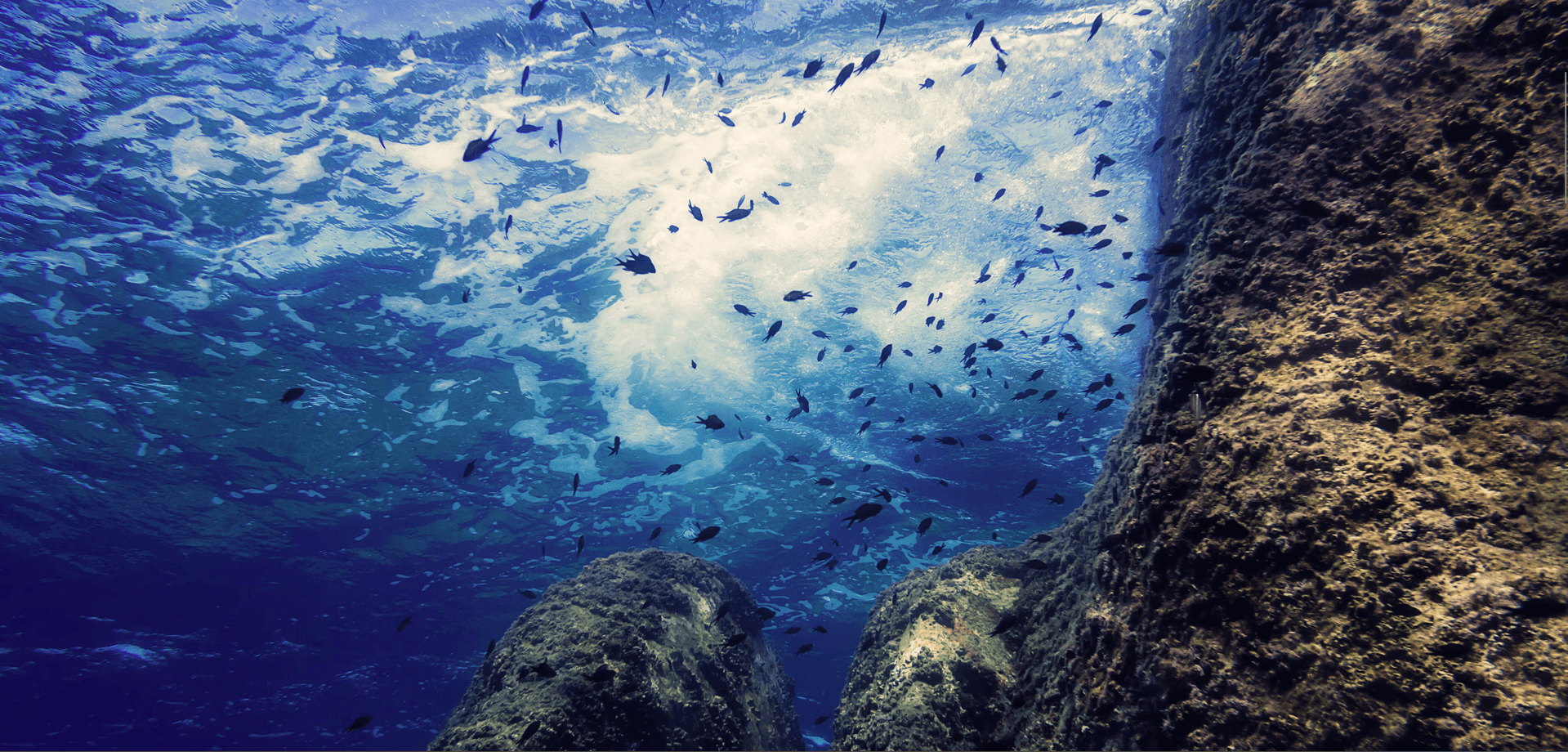 Experts say oceans soaked up record heat levels in 2025