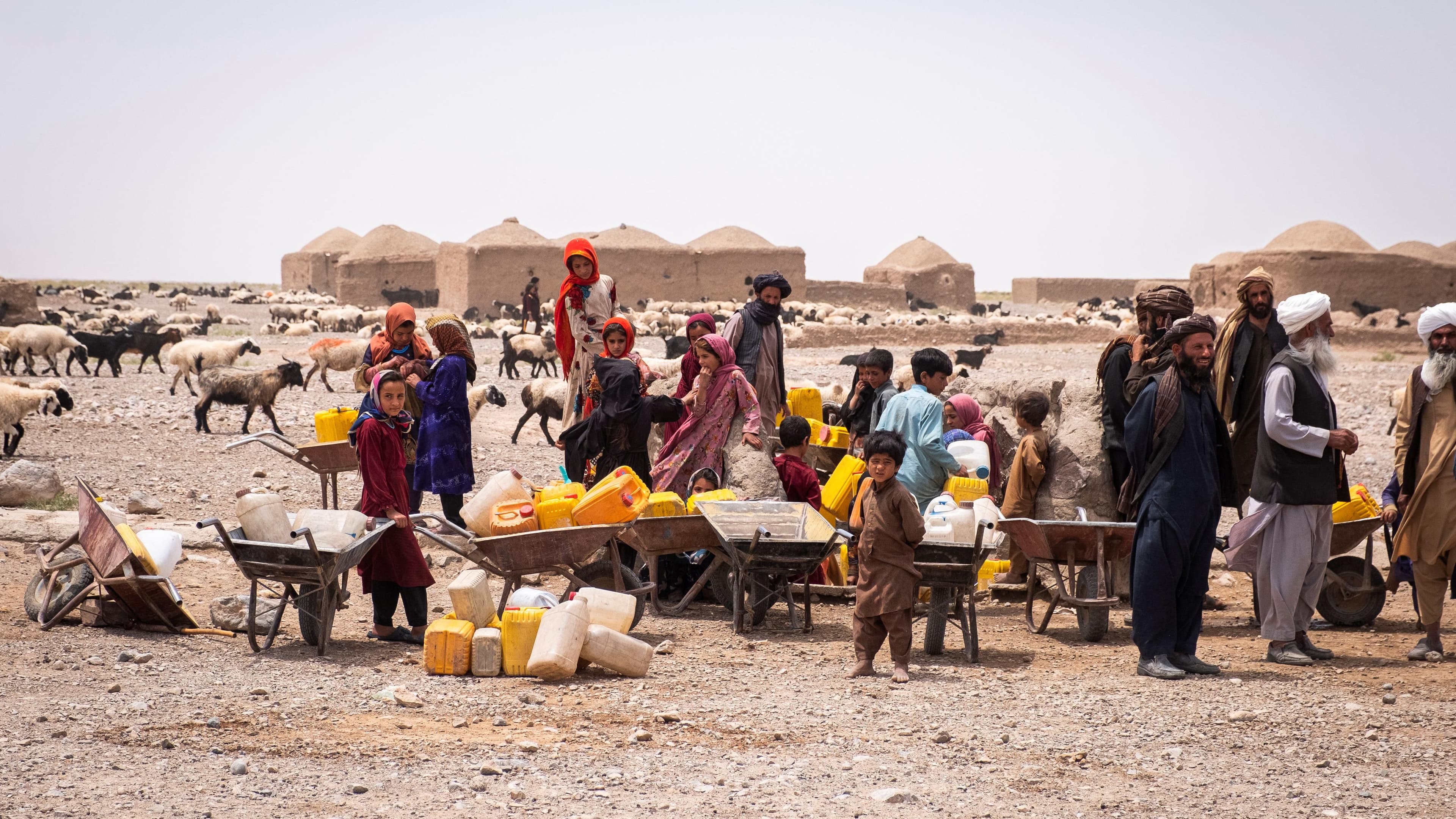 Afghanistan climate crisis deepens as communities scale up environmental action- (Photo: UNAMA)