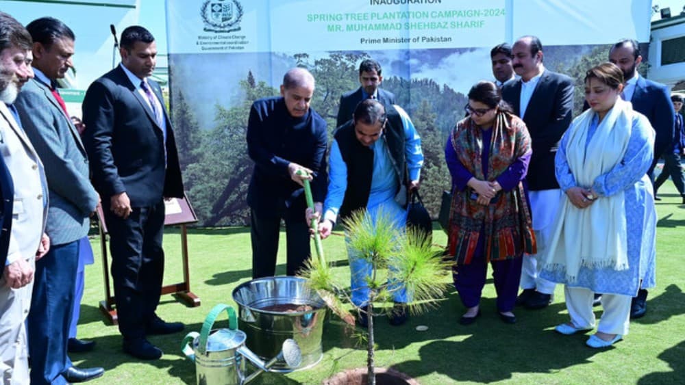 Pakistan launches monsoon tree plantation drive, targets 41 million saplings by October