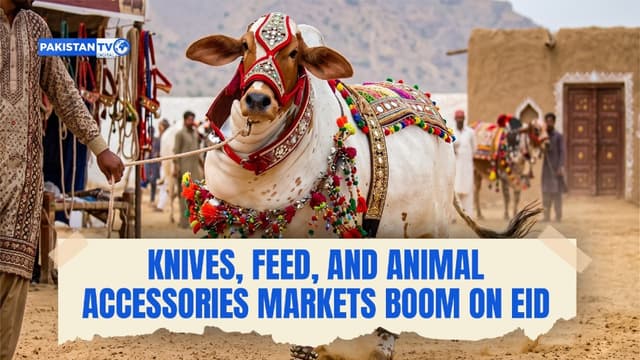 Karachi’s Eid markets surge as Pakistan’s seasonal economy expands nationwide