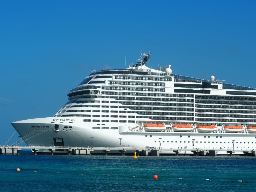 US, French nationals from hantavirus ship test positive
