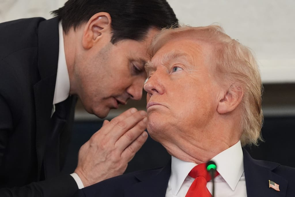 President Donald Trump