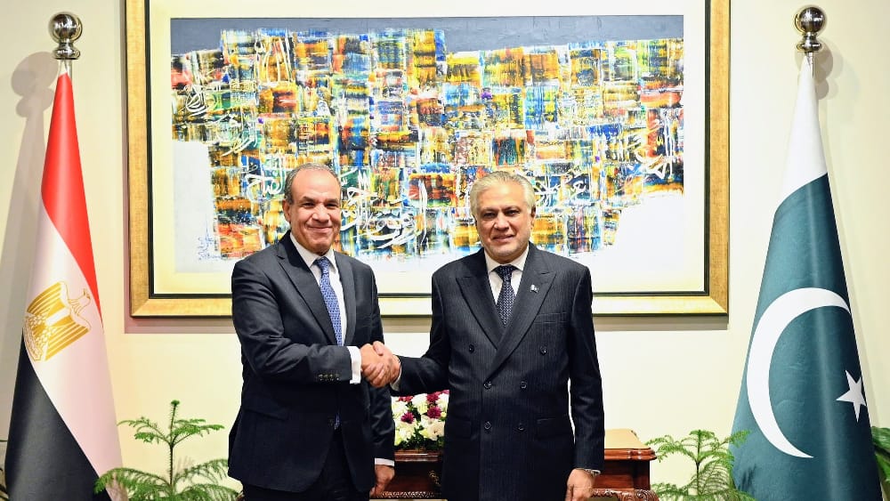 Pakistan-Egypt FMs reiterate support for peace initiatives