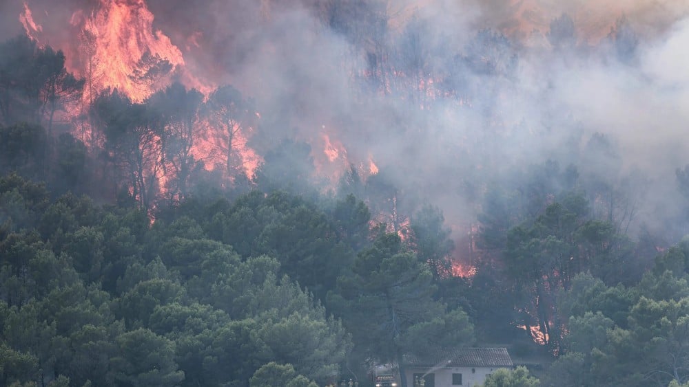 Wildfires, heatwaves endanger air quality, health: UN