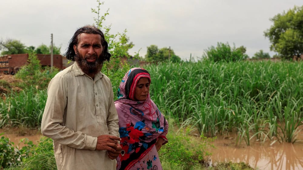 Farm land losses
