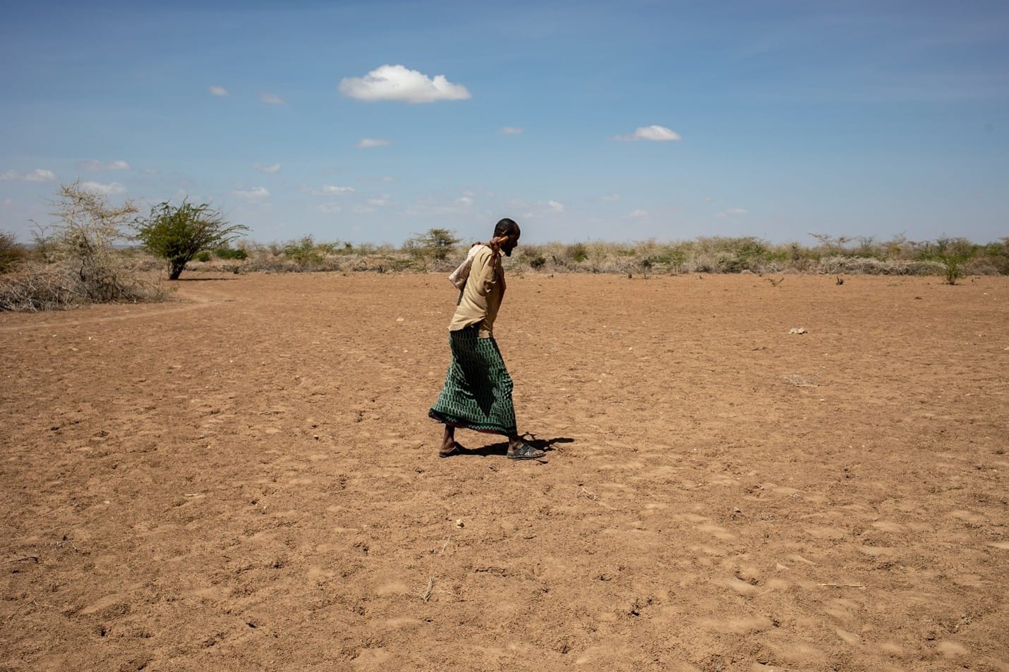 Somali drought drives mass displacement as aid and support remain limited