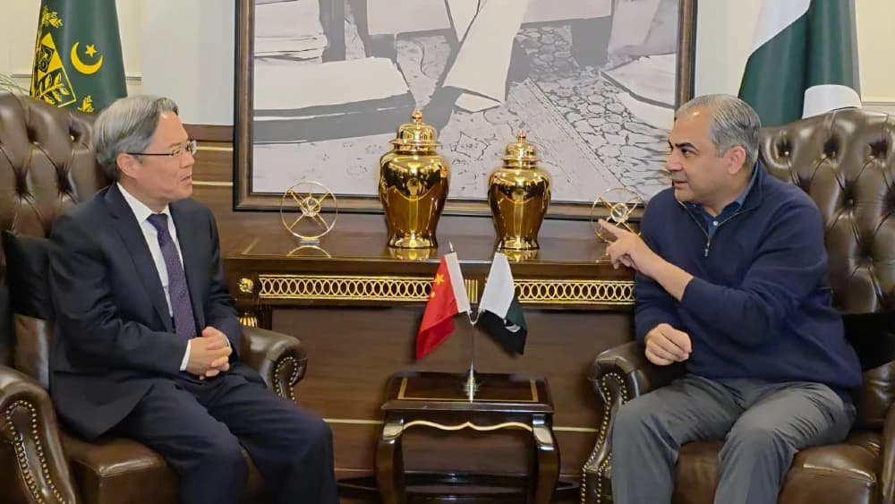 Ambassador Jiang Zaidong meets Mohsin Naqvi