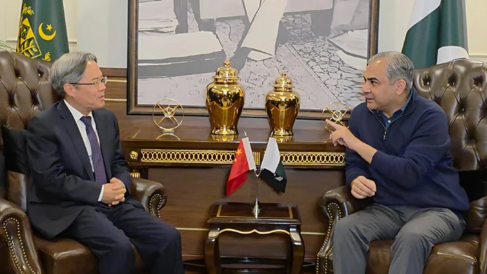 Ambassador Jiang Zaidong meets Mohsin Naqvi