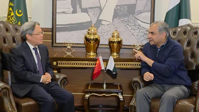 Ambassador Jiang Zaidong meets Mohsin Naqvi