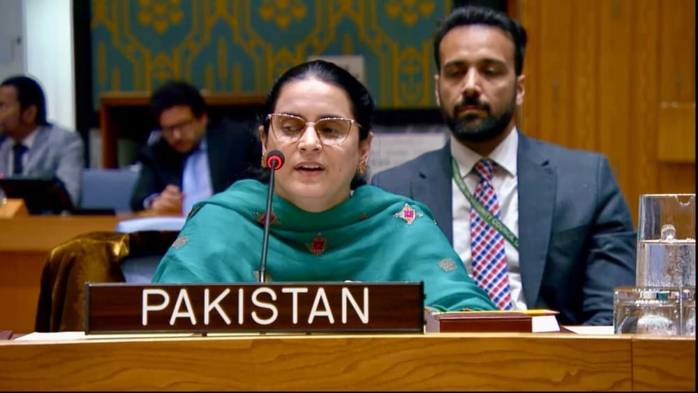 At UN, Pakistan says India supporting terror outfits in Afghanistan