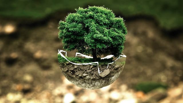 Environmental protection (File Photo: Wikimedia Commons)