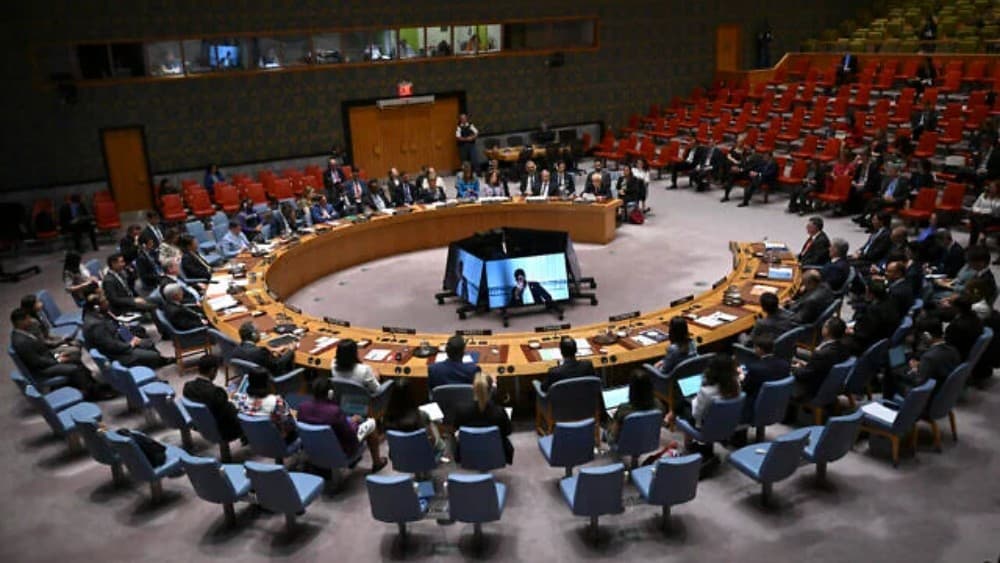 ‘No credentials whatsoever’: Pakistan's UN envoy on India's bid for permanent UNSC seat