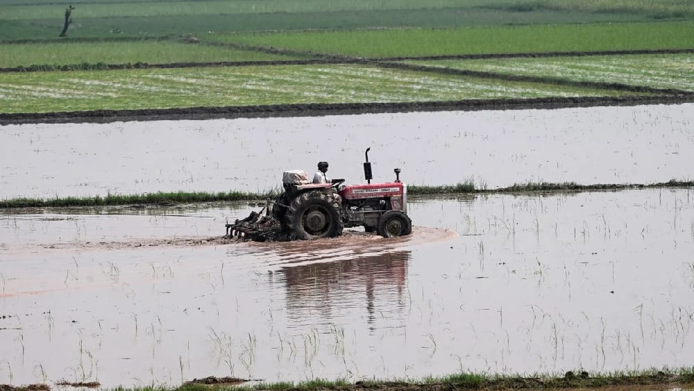 agriculture