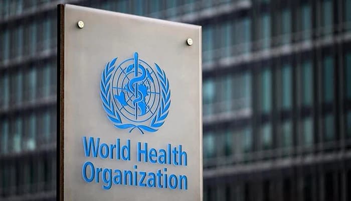 WHO says 114 killed in strikes on Sudan kindergarten, hospital