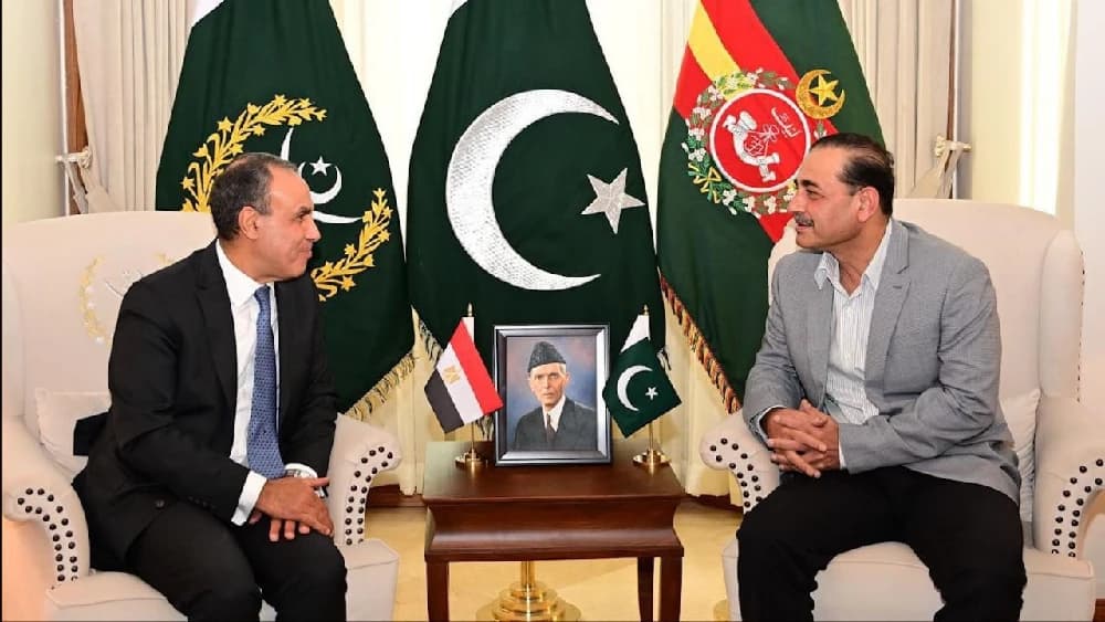 Army chief meets Egyptian FM